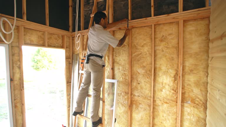 Best Attic Insulation Installation  in Wahese, NC